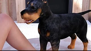 xnxx 16